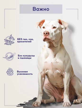 B&S CARE SENSITIVE Сухой корм д/собак с чувствит.пищев. (индейка /утка) 3кг, BS209